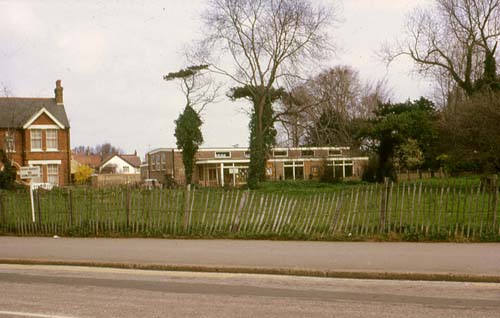 Dog Acre 1971